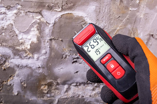 Best Attic Mold Removal  in Stony Prairie, OH