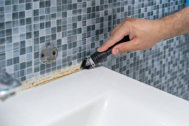 Best Mold Damage Repair  in Stony Prairie, OH